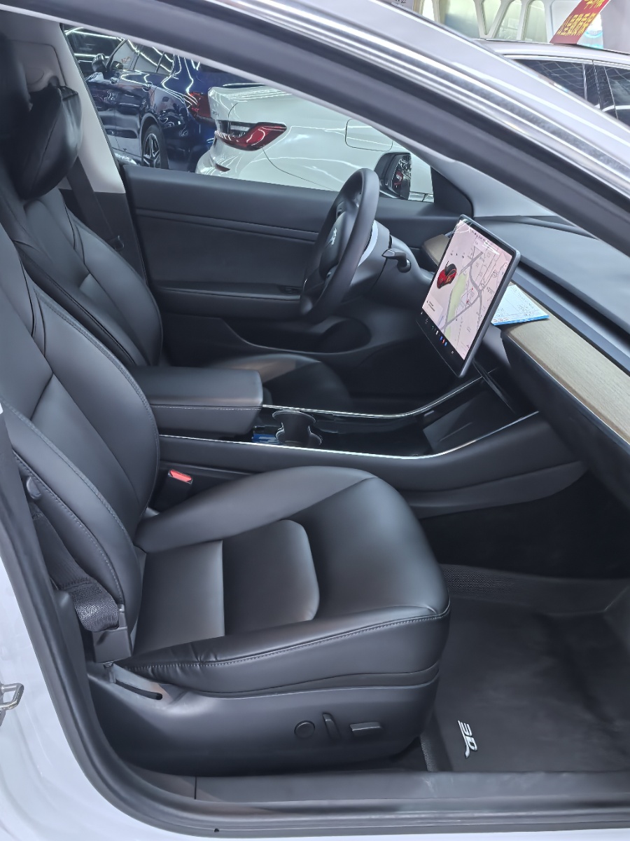 Tesla Model 3 2021 car image #10