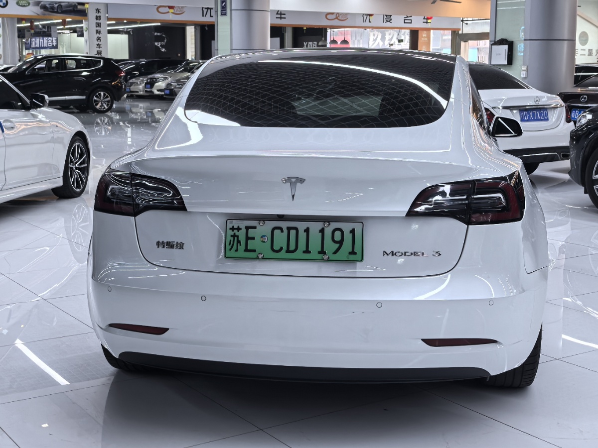 Tesla Model 3 2021 car image #6