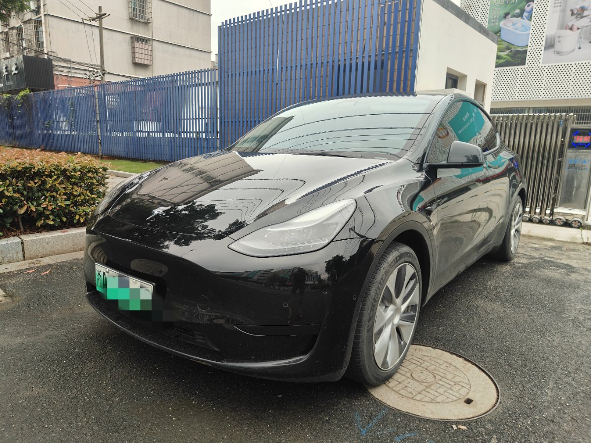Tesla Model Y 2022 Tesla Model Y 2022 car image