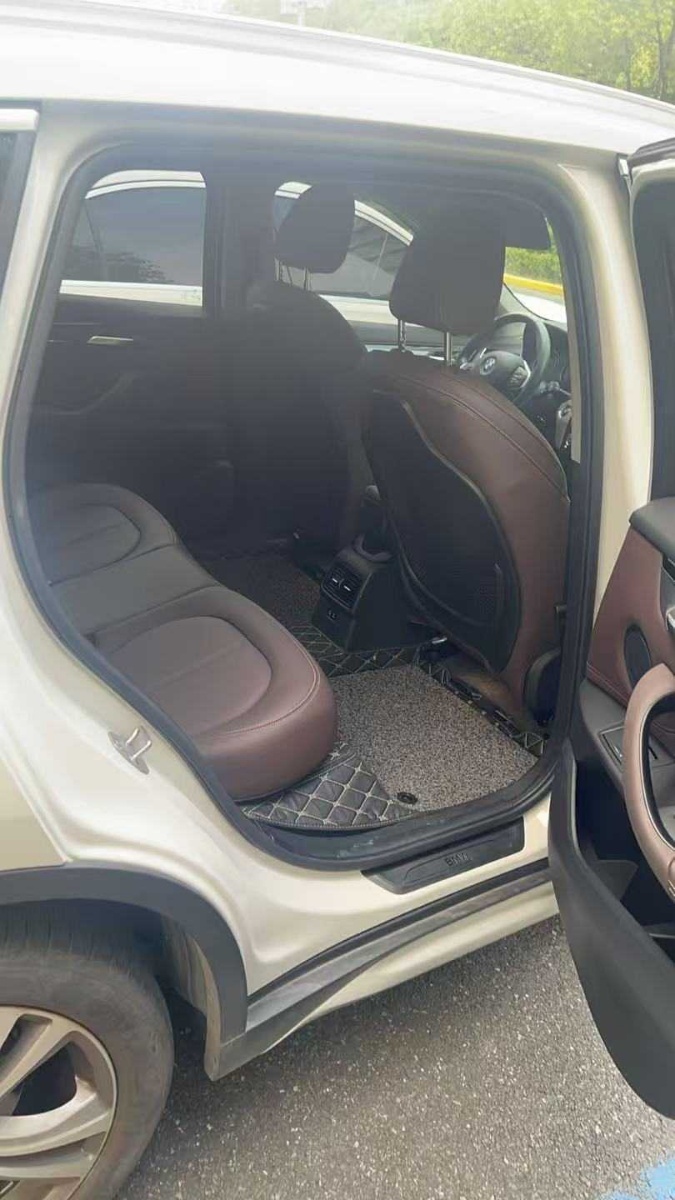 BMW X1 New Energy 2020 car image #6
