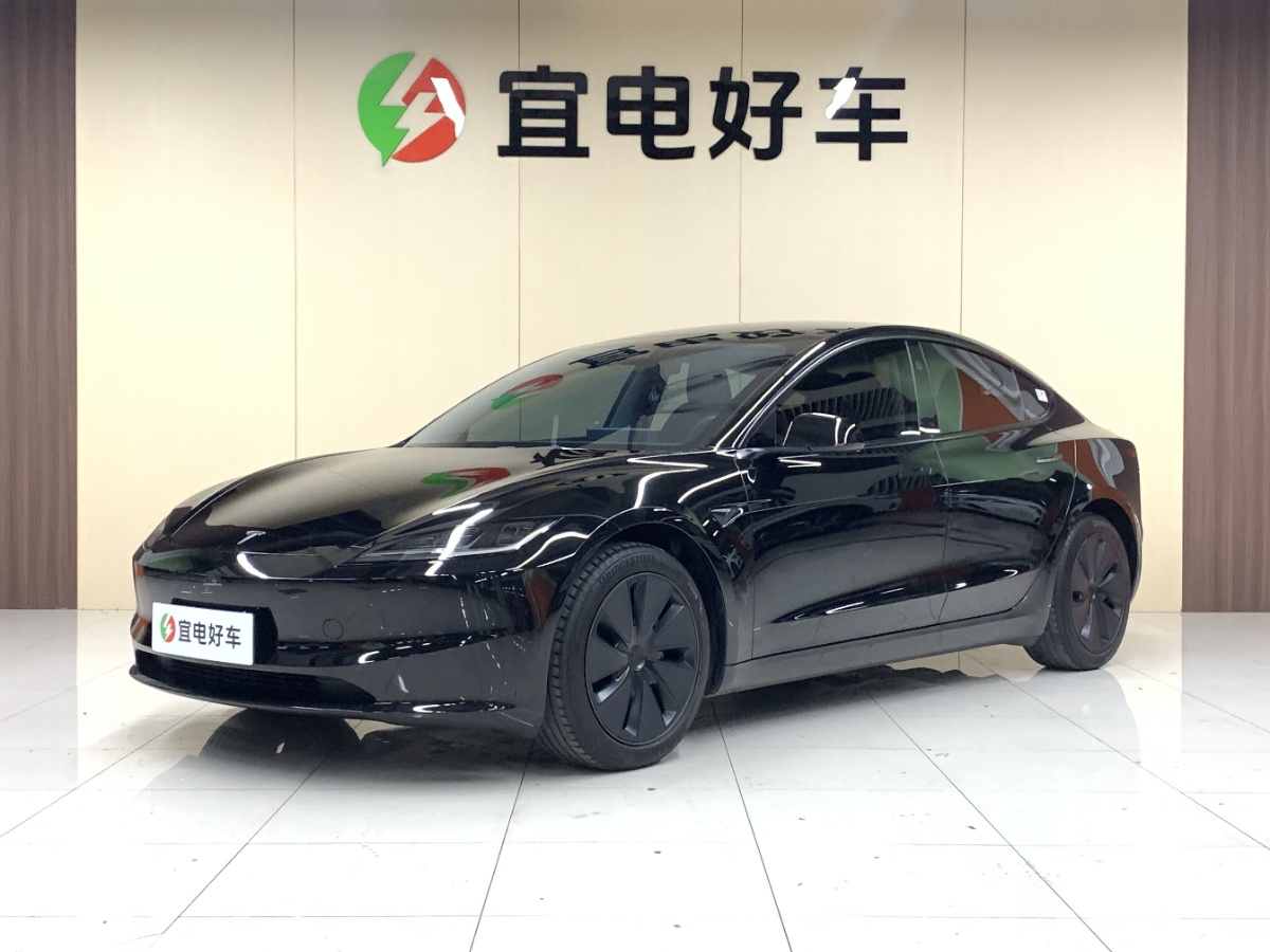 Tesla Model 3 2025 Tesla Model 3 2025 car image
