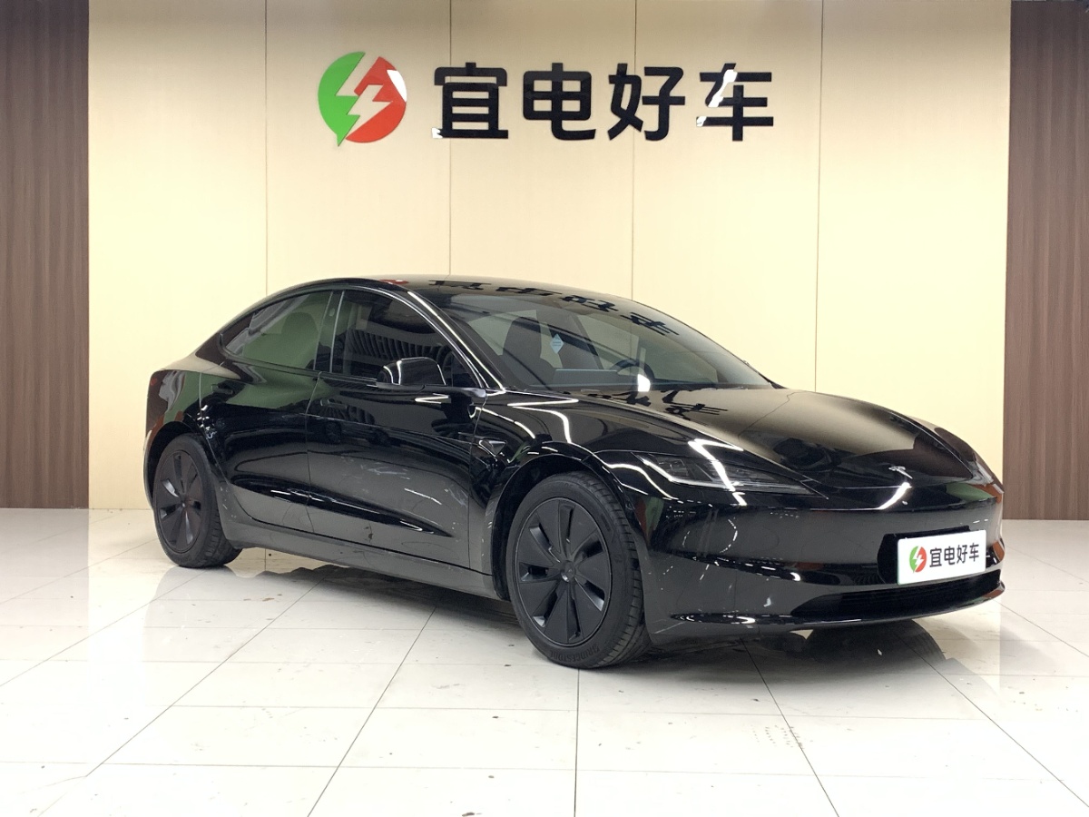 Tesla Model 3 2025 #3 Tesla Model 3 2025 car image #3