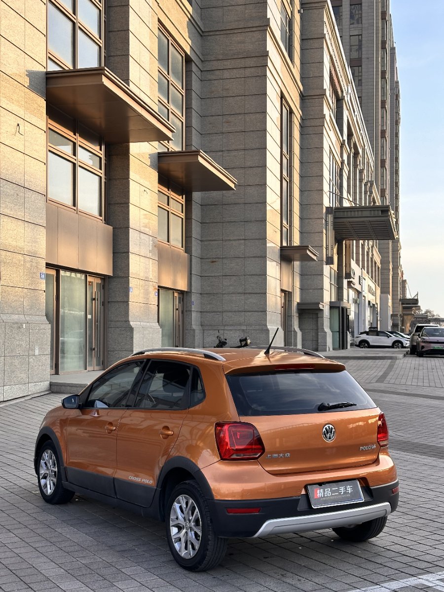Volkswagen Polo 2015 car image #6