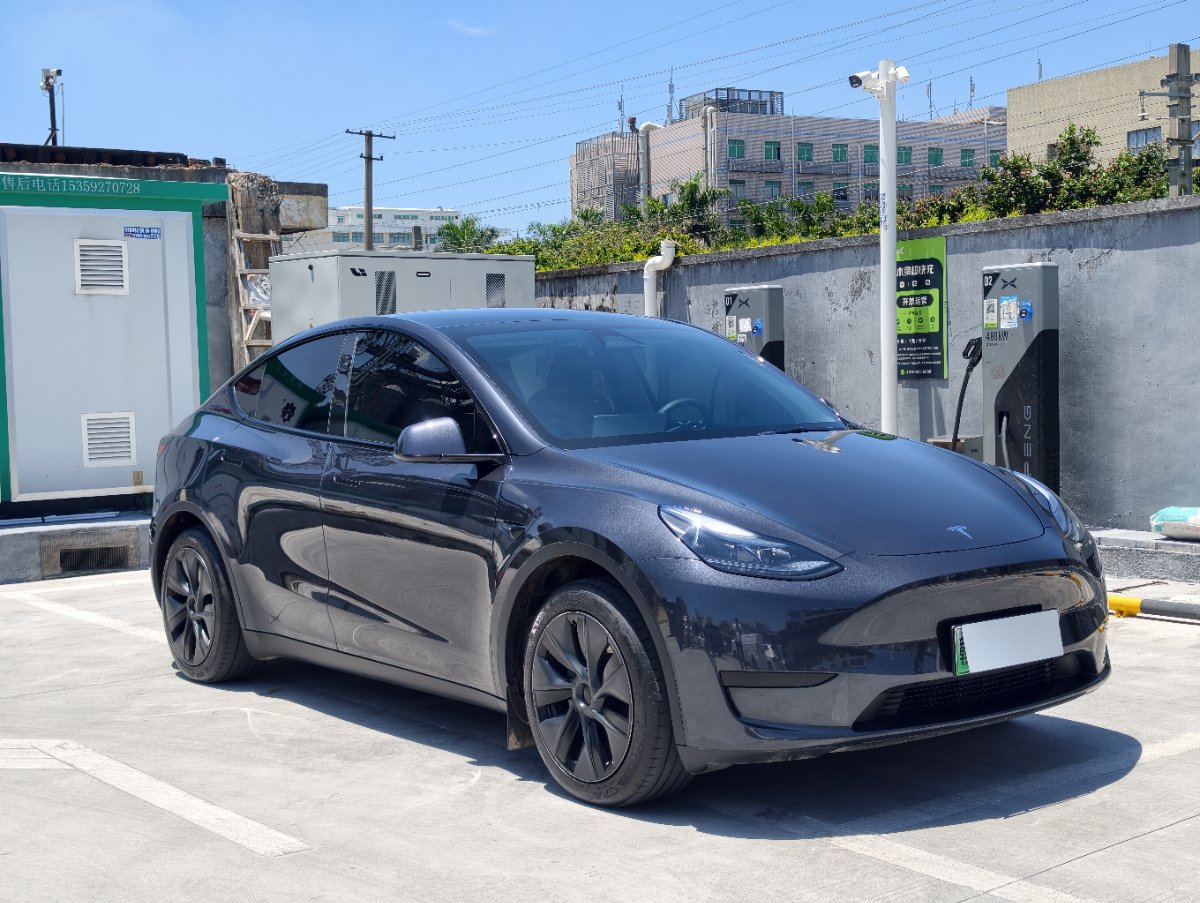 Tesla Model Y 2024 #8 Tesla Model Y 2024 car image #8