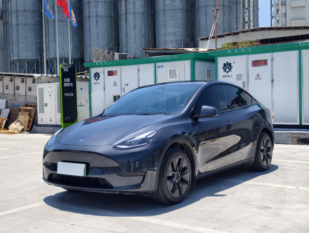 Tesla Model Y 2024 Tesla Model Y 2024 car image
