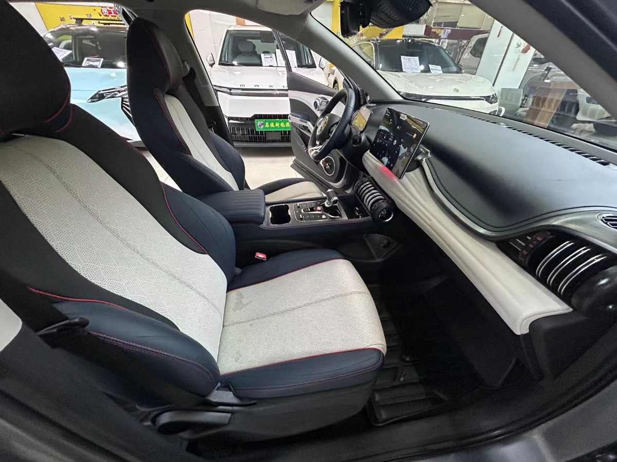 BYD Yuan Plus 2022 car image #6