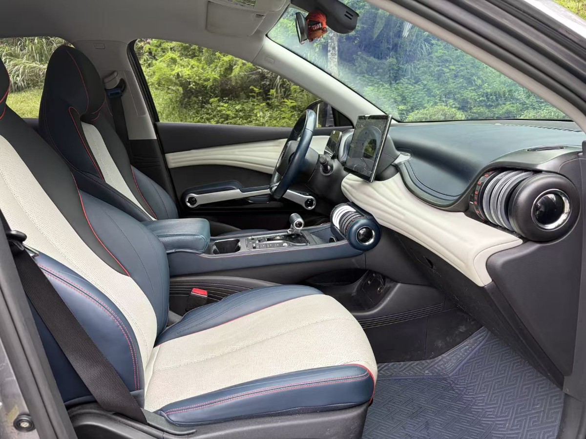 BYD Yuan Plus 2022 #7 BYD Yuan Plus 2022 car image #7