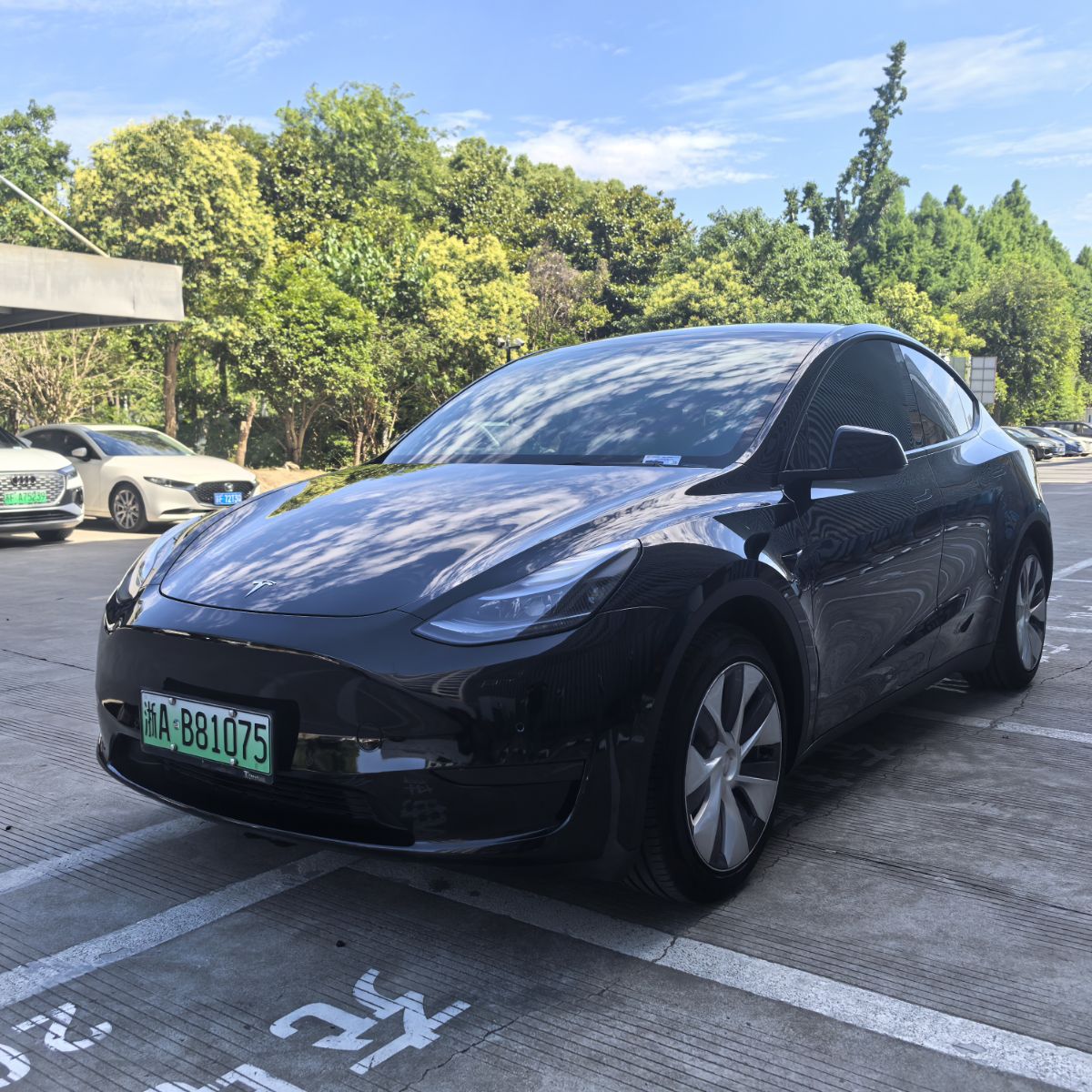 Tesla Model Y 2023 Tesla Model Y 2023 car image