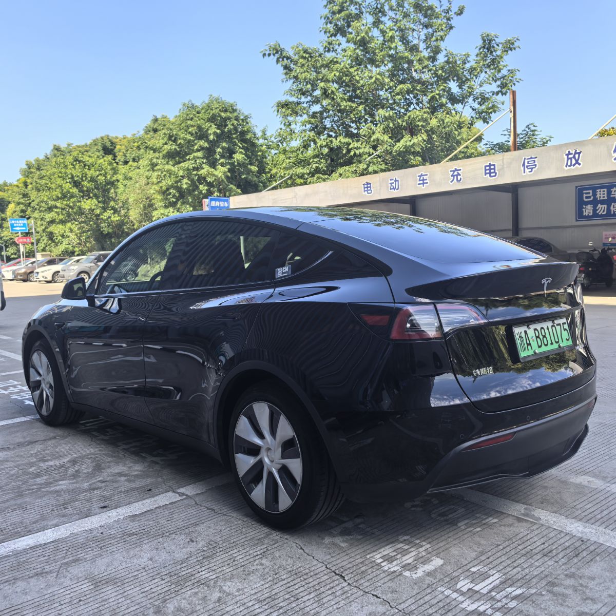 Tesla Model Y 2023 #6 Tesla Model Y 2023 car image #6