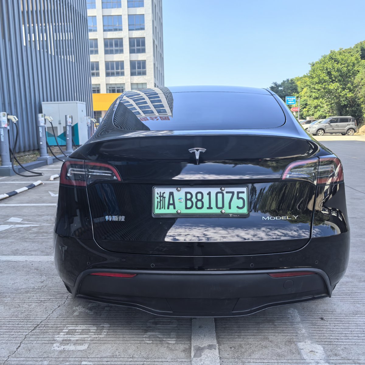 Tesla Model Y 2023 #5 Tesla Model Y 2023 car image #5
