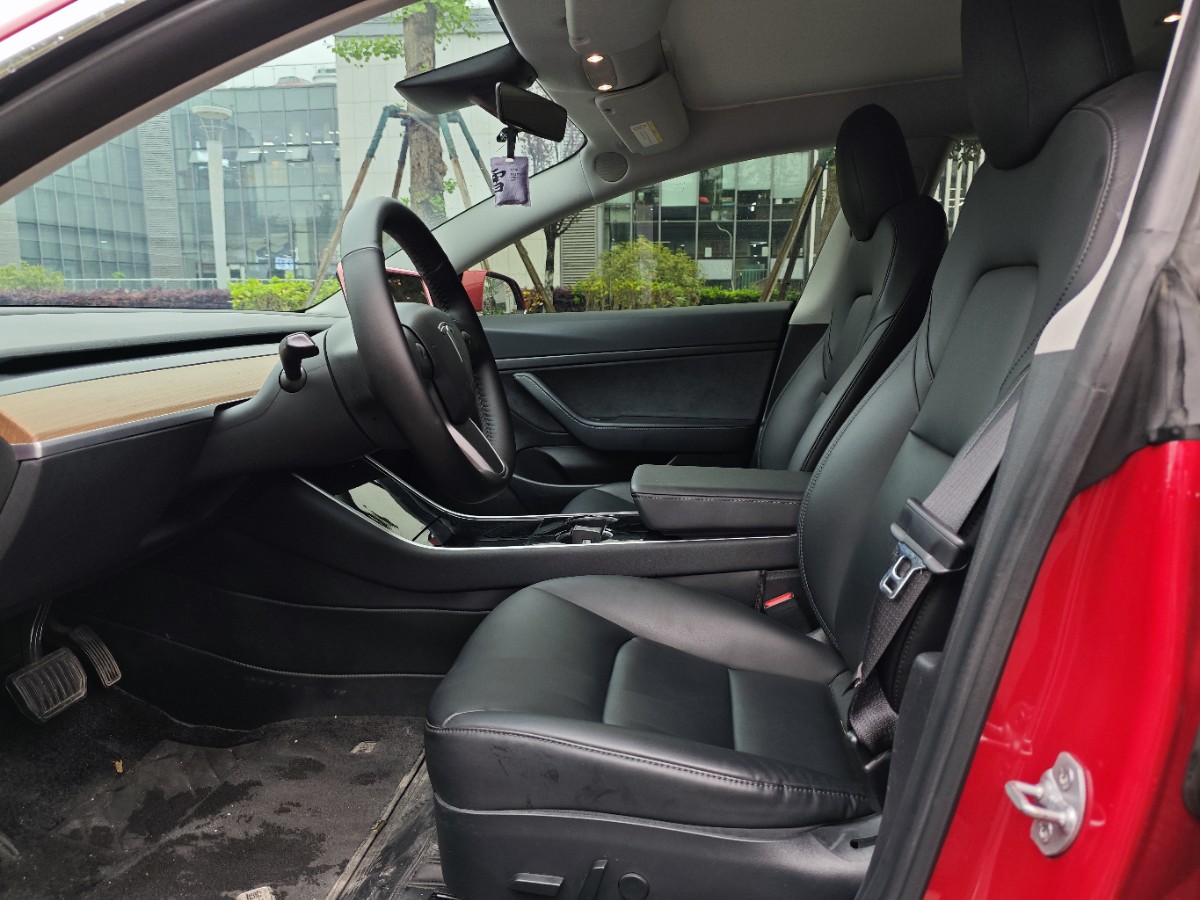 Tesla Model 3 2020 car image #8