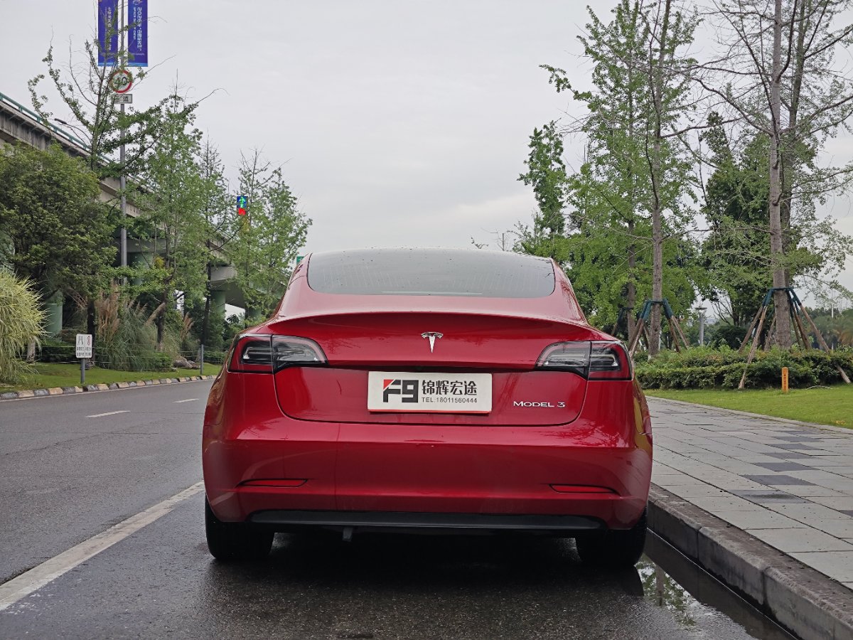 Tesla Model 3 2020 car image #5