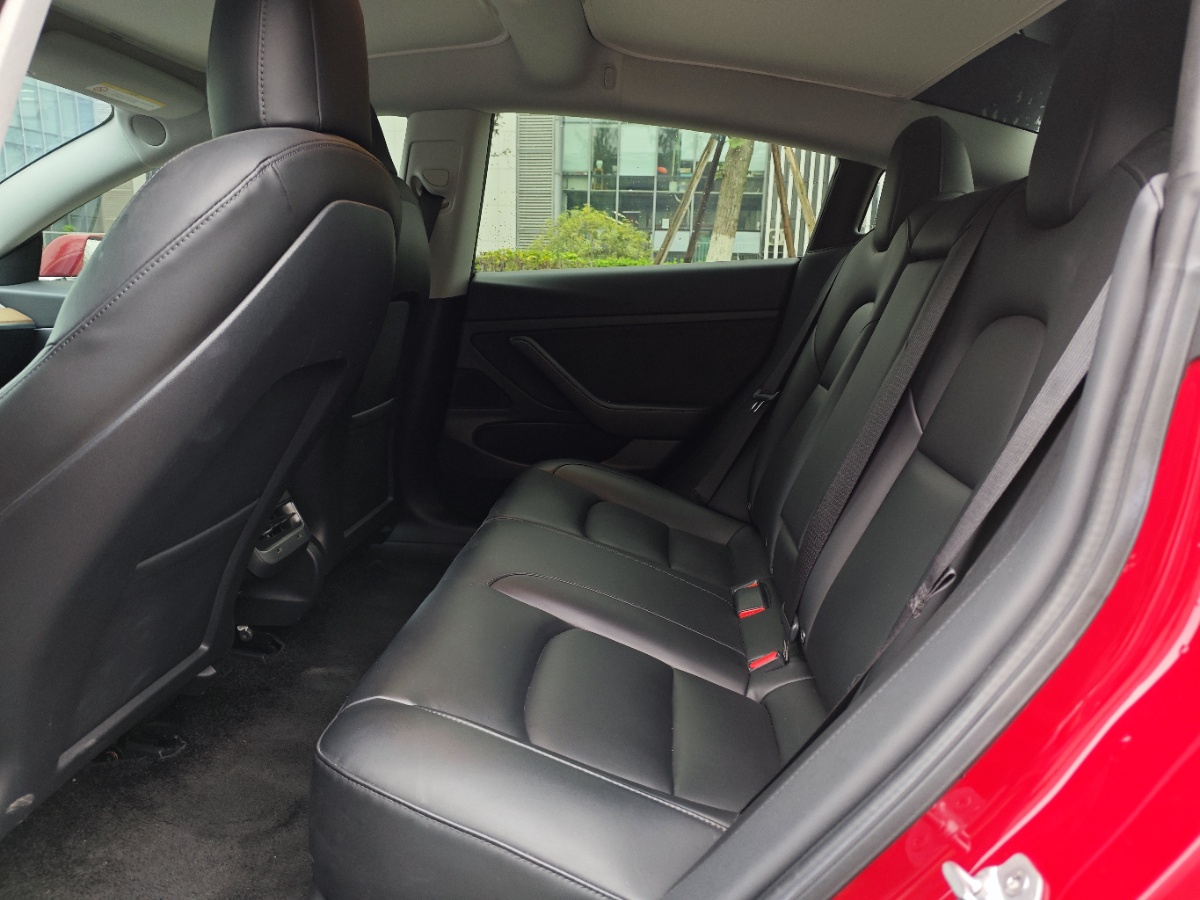 Tesla Model 3 2020 car image #9