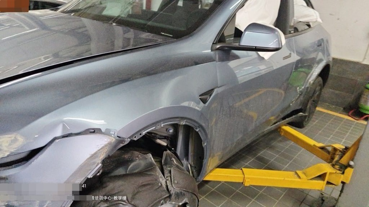 Tesla Model Y 2026 #15 Tesla Model Y 2026 car image #15