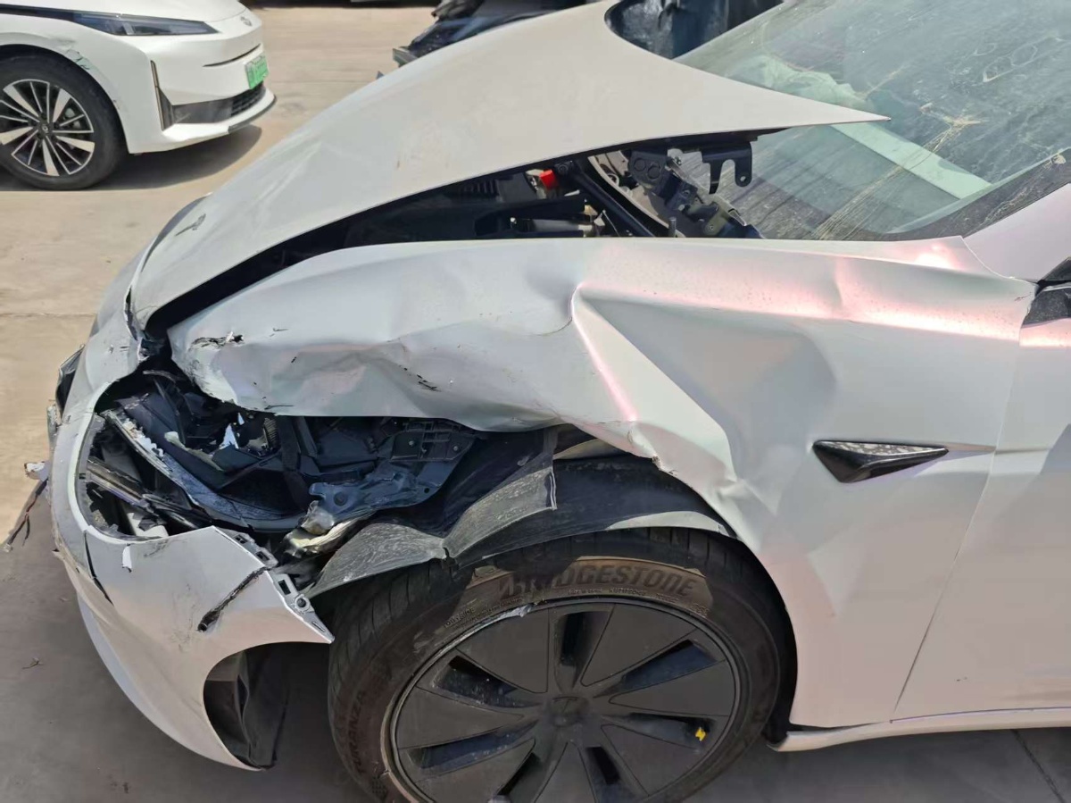 Tesla Model 3 2025 car image #4