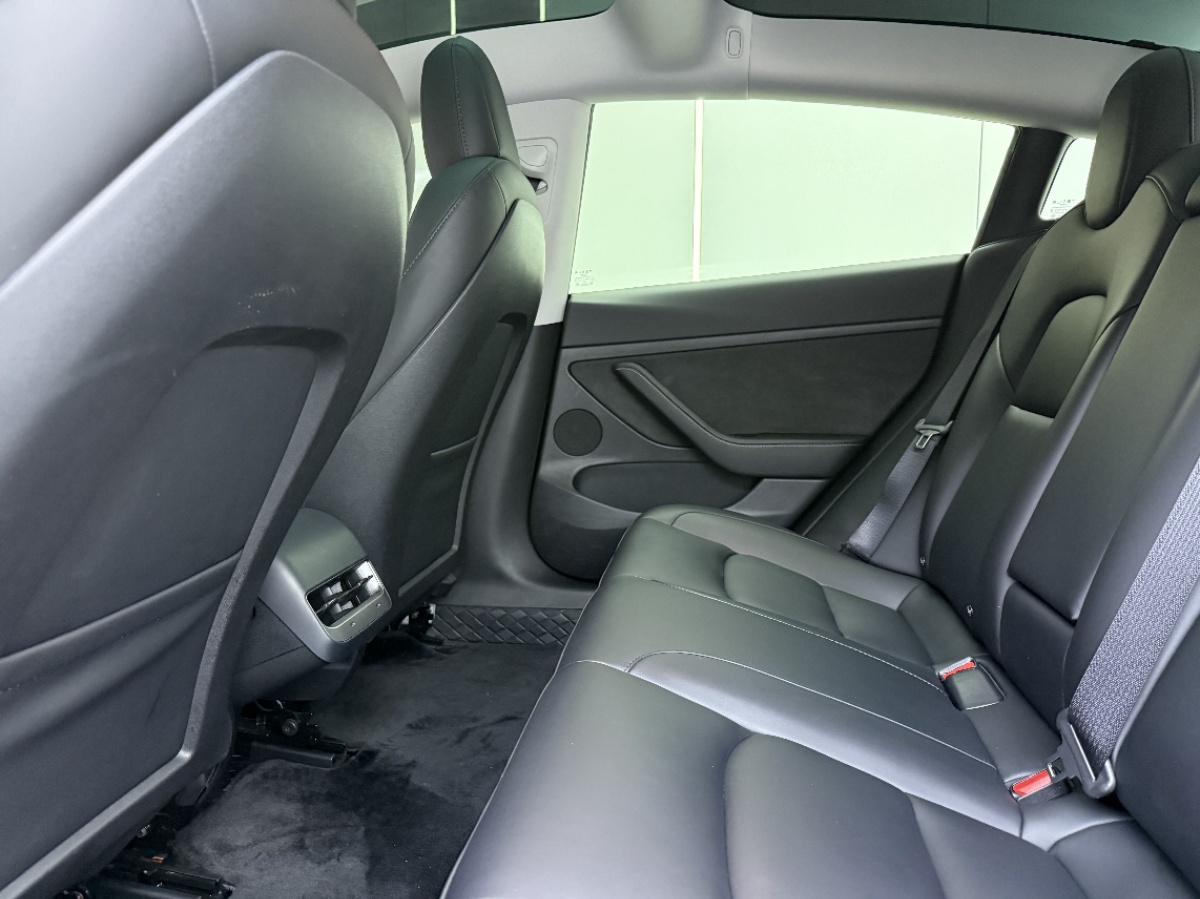 Tesla Model 3 2023 car image #7