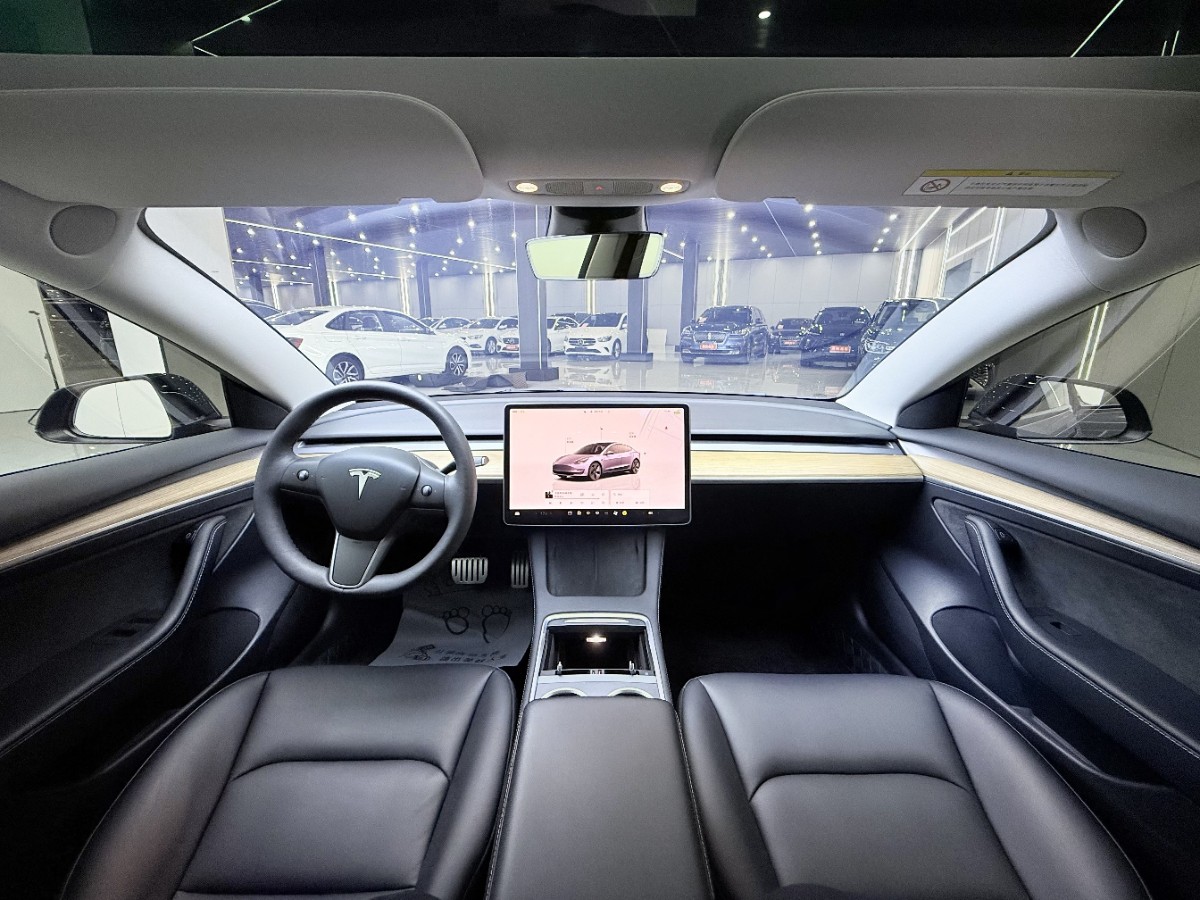 Tesla Model 3 2023 car image #8