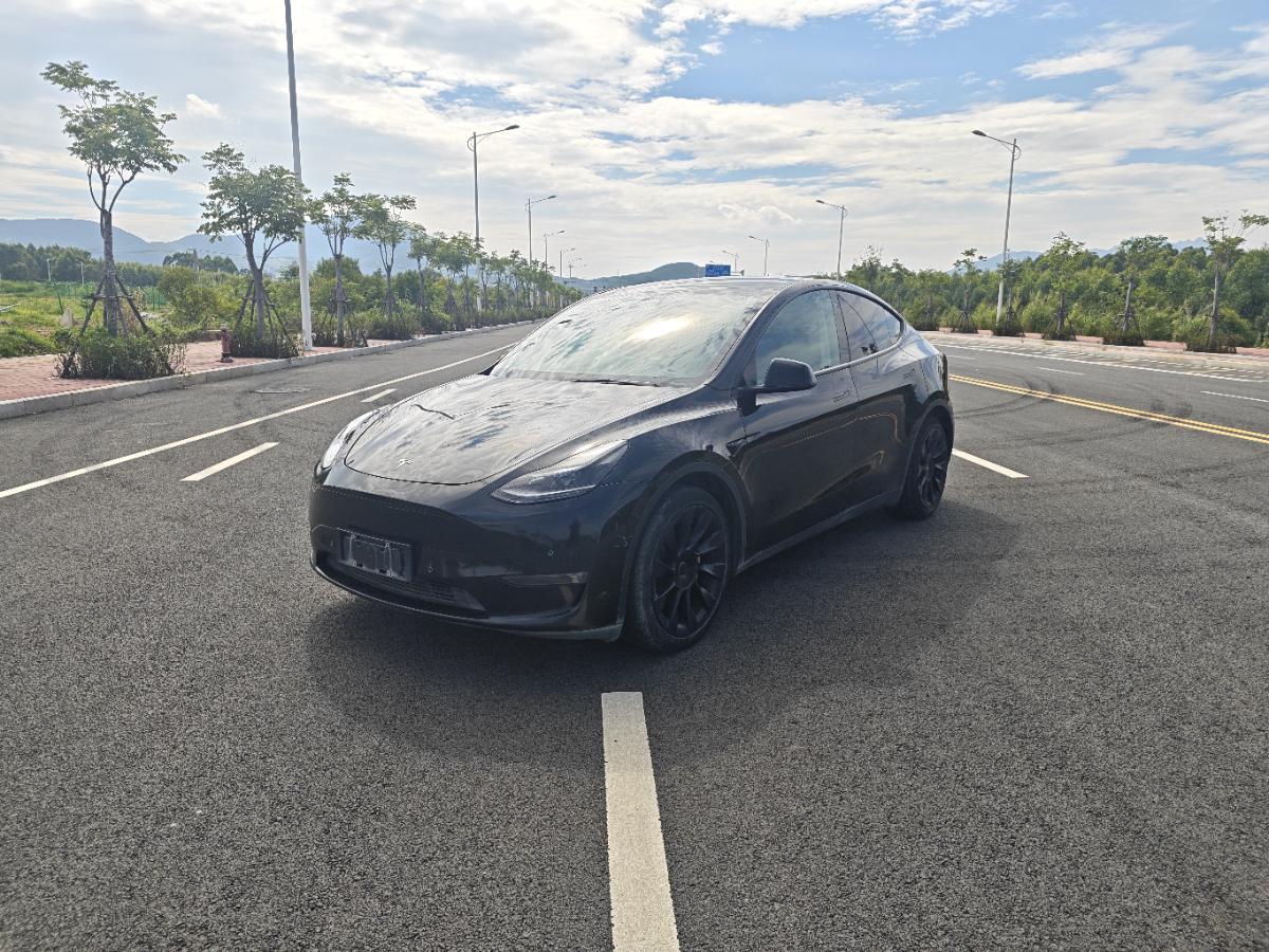 Tesla Model Y 2021 Tesla Model Y 2021 car image