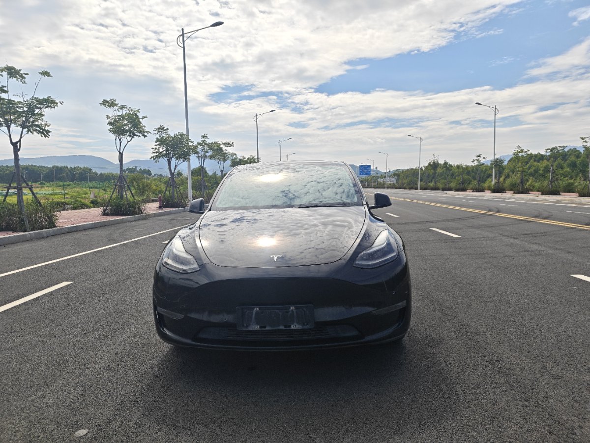 Tesla Model Y 2021 #2 Tesla Model Y 2021 car image #2