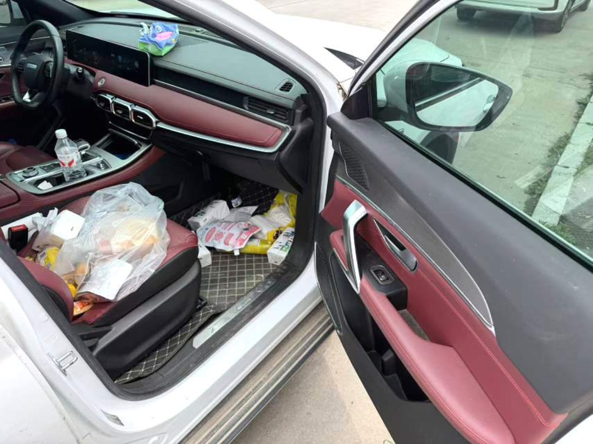 Jetour X70 PLUS 2022 car image #6