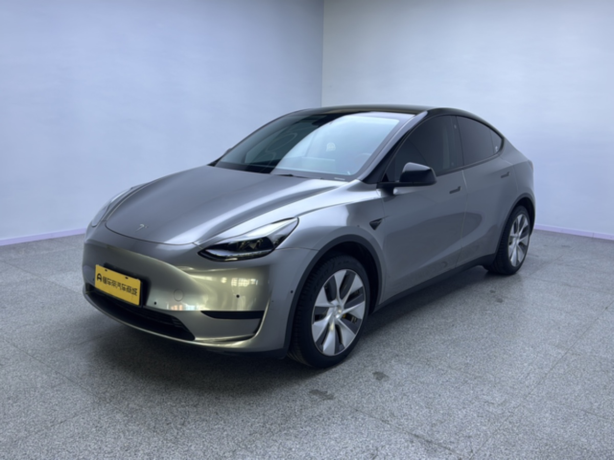 Tesla Model Y 2023 Tesla Model Y 2023 car image