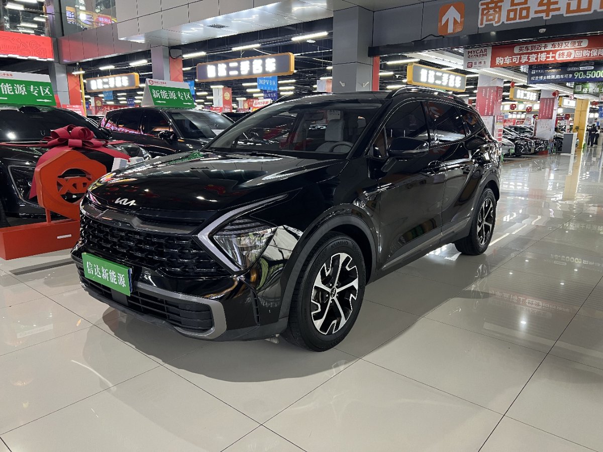 Kia Sportage 2024 car image 