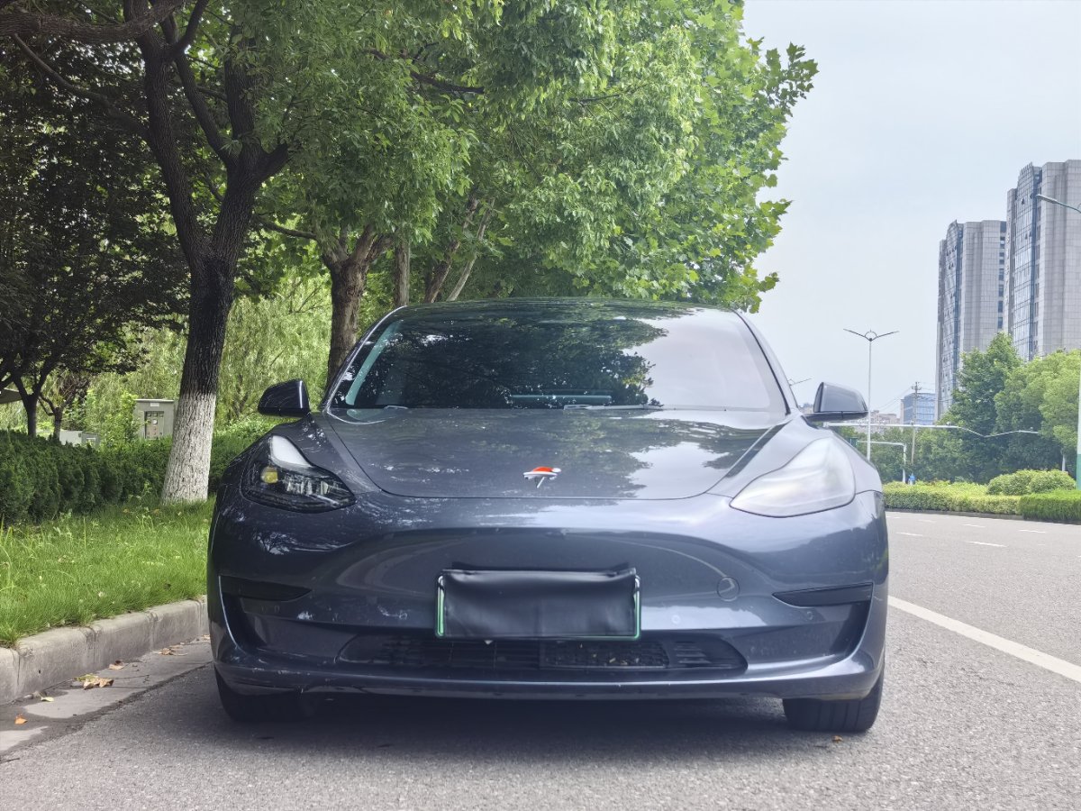 Tesla Model 3 2022 #2 Tesla Model 3 2022 car image #2