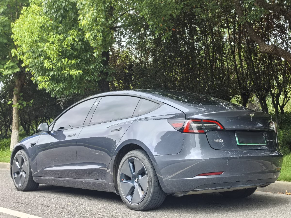 Tesla Model 3 2022 #6 Tesla Model 3 2022 car image #6