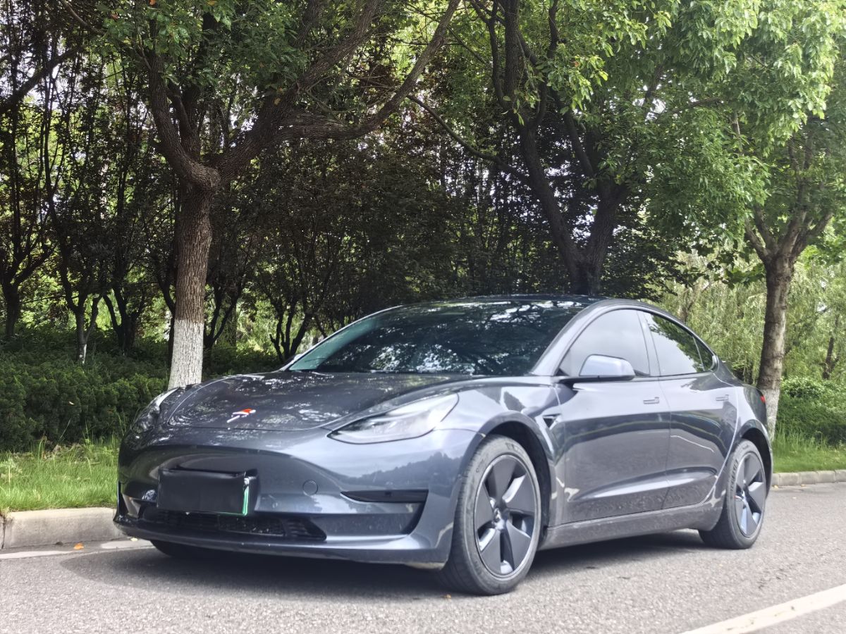 Tesla Model 3 2022 Tesla Model 3 2022 car image