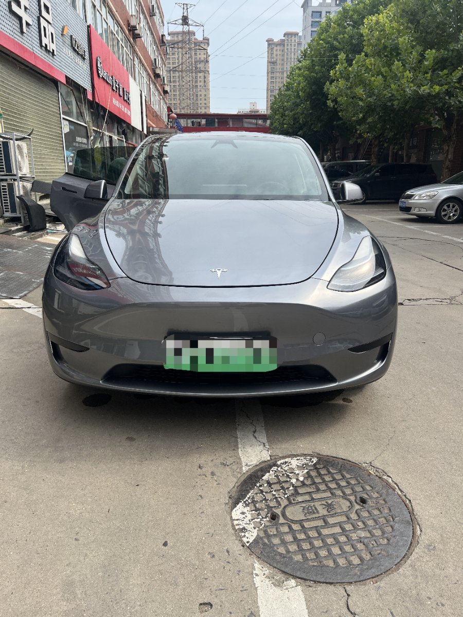 Tesla Model Y 2024 car image #6