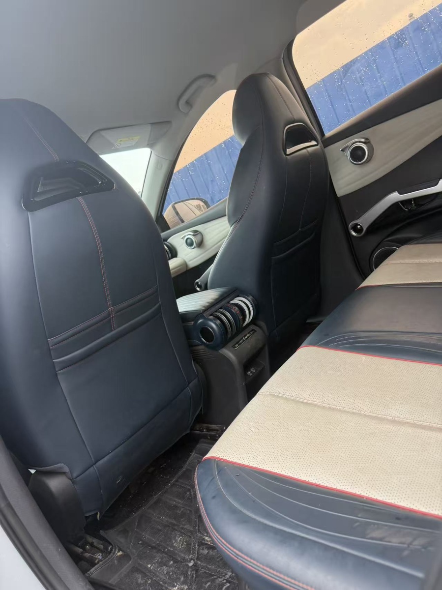 BYD Yuan Plus 2022 car image #8