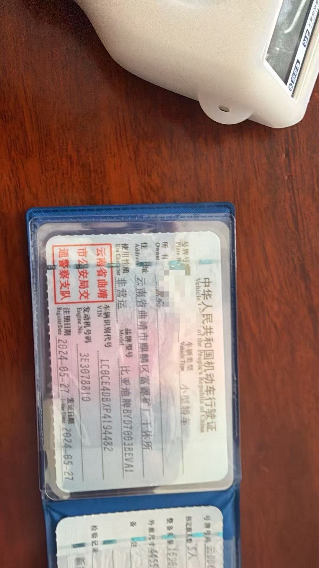 BYD Yuan Plus 2024 car image #10