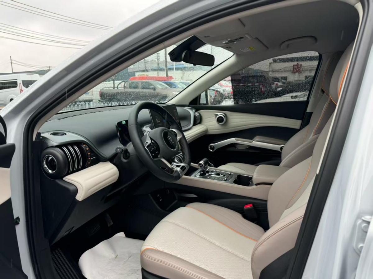 BYD Yuan Plus 2024 car image #6