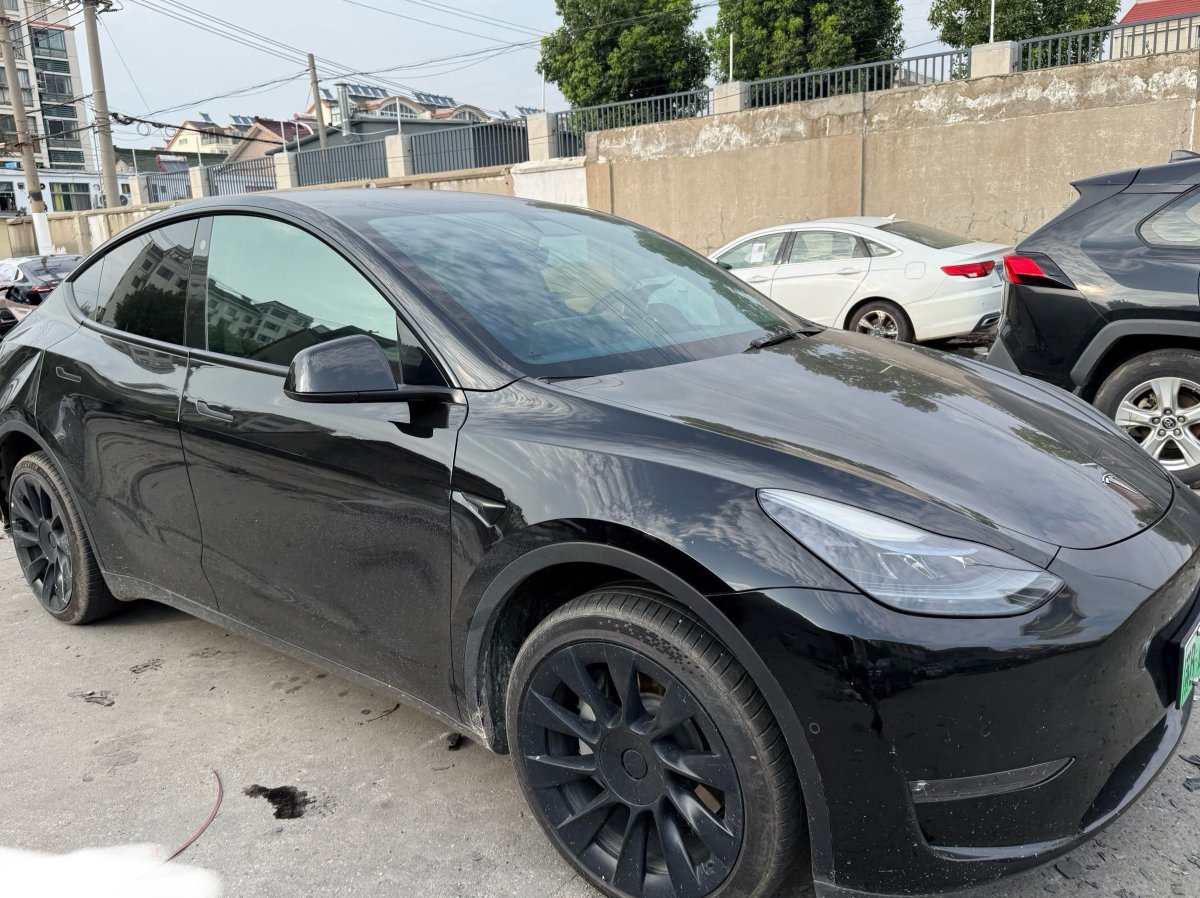 Tesla Model Y 2022 Tesla Model Y 2022 car image