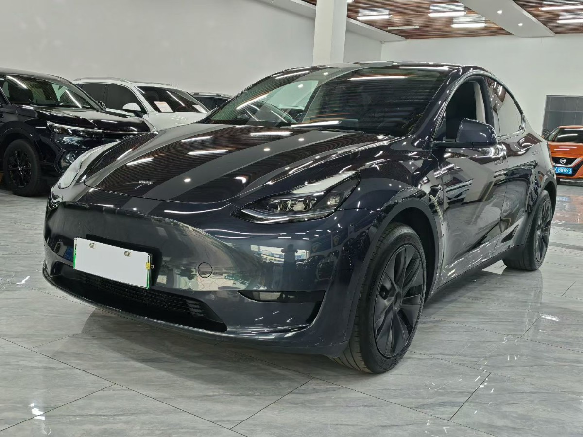 Tesla Model Y 2024 car image 