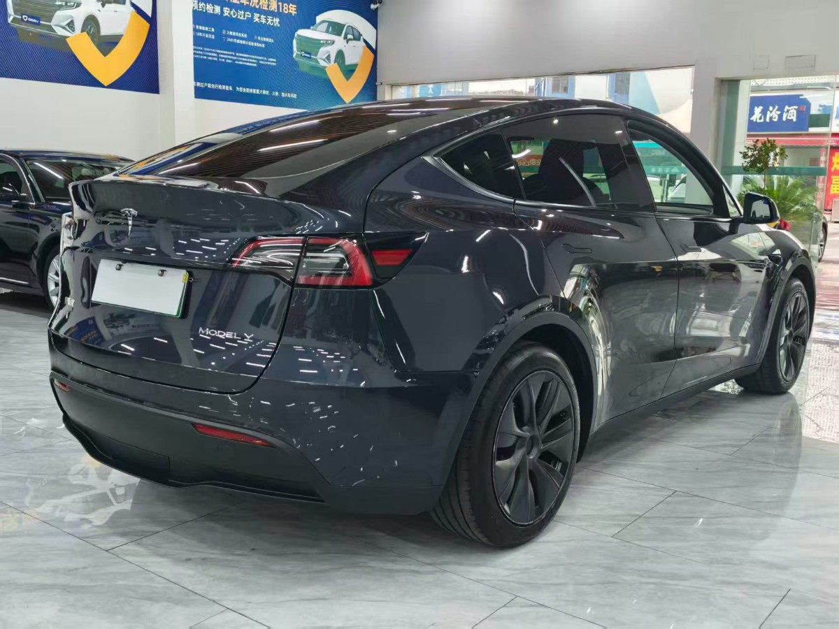 Tesla Model Y 2024 car image #7