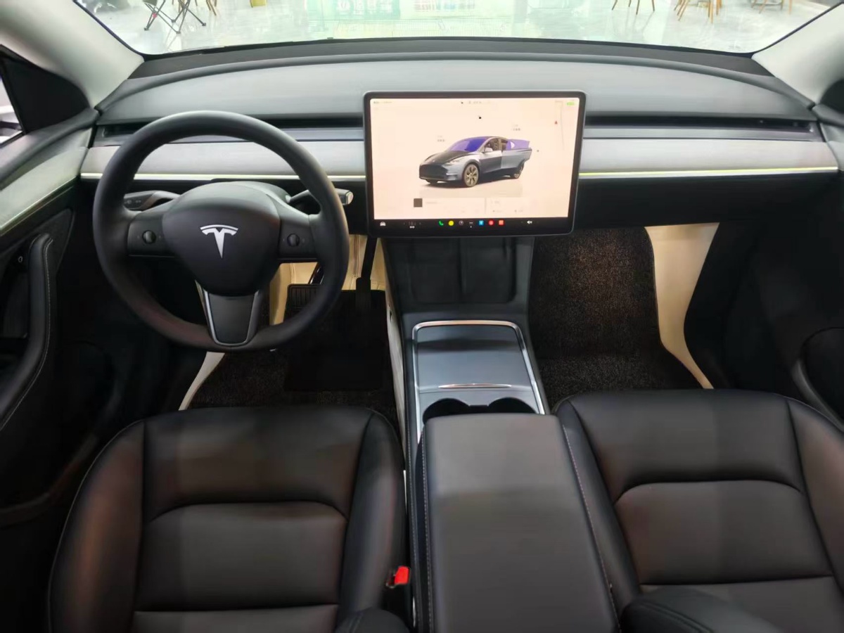 Tesla Model Y 2024 car image #6