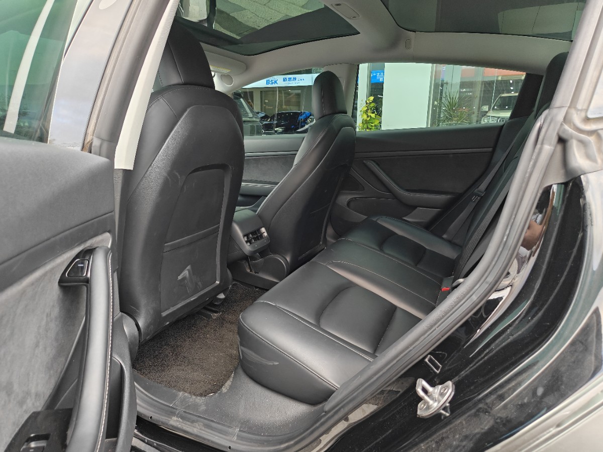 Tesla Model 3 2020 #5 Tesla Model 3 2020 car image #5