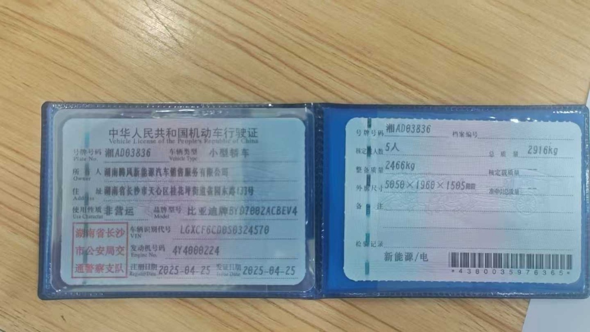 比亚迪 汉L 2025 汽车图片 #10