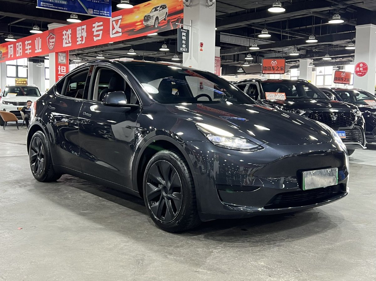 Tesla Model Y 2024 car image 