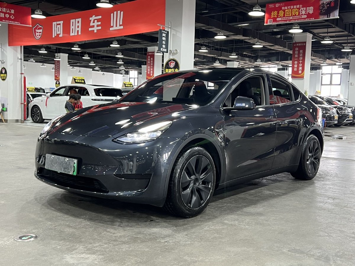 Tesla Model Y 2024 car image #3