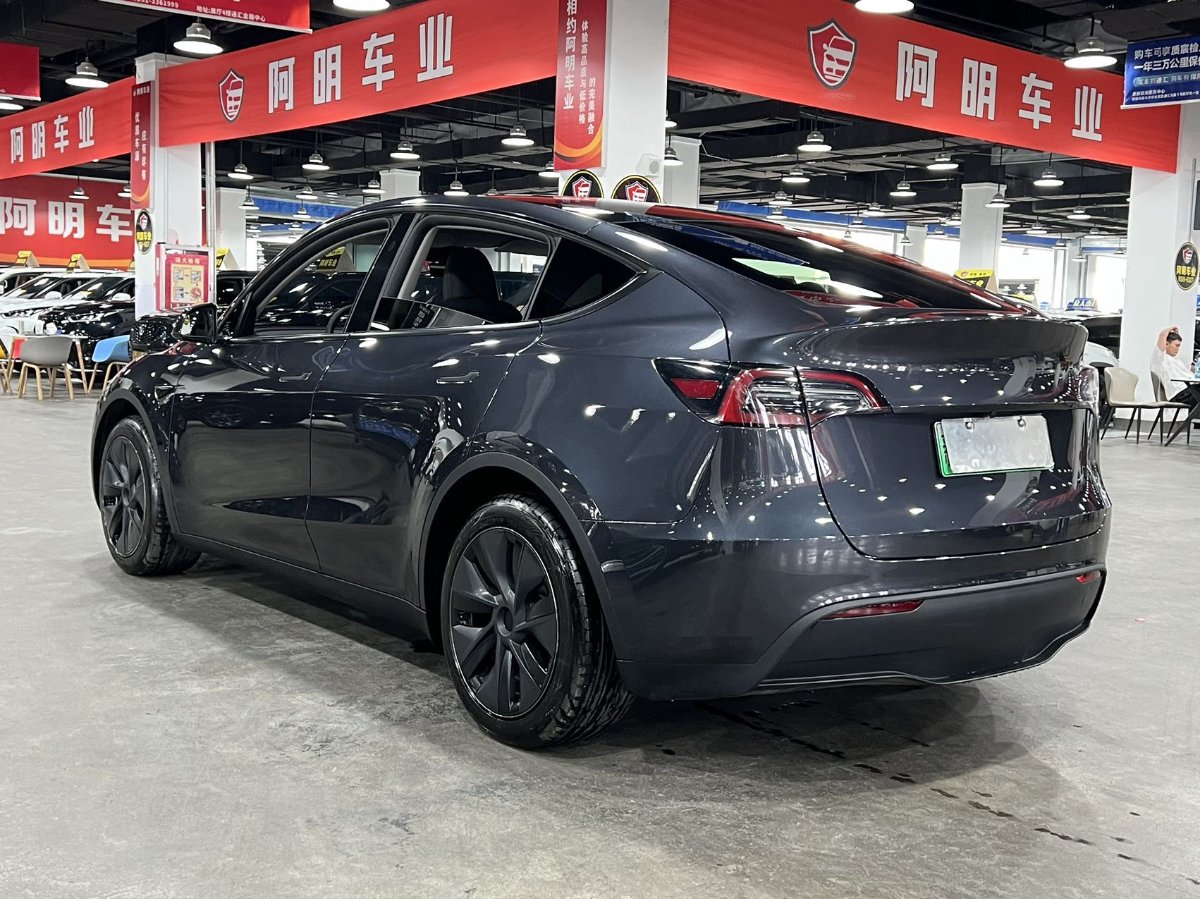 Tesla Model Y 2024 car image #9