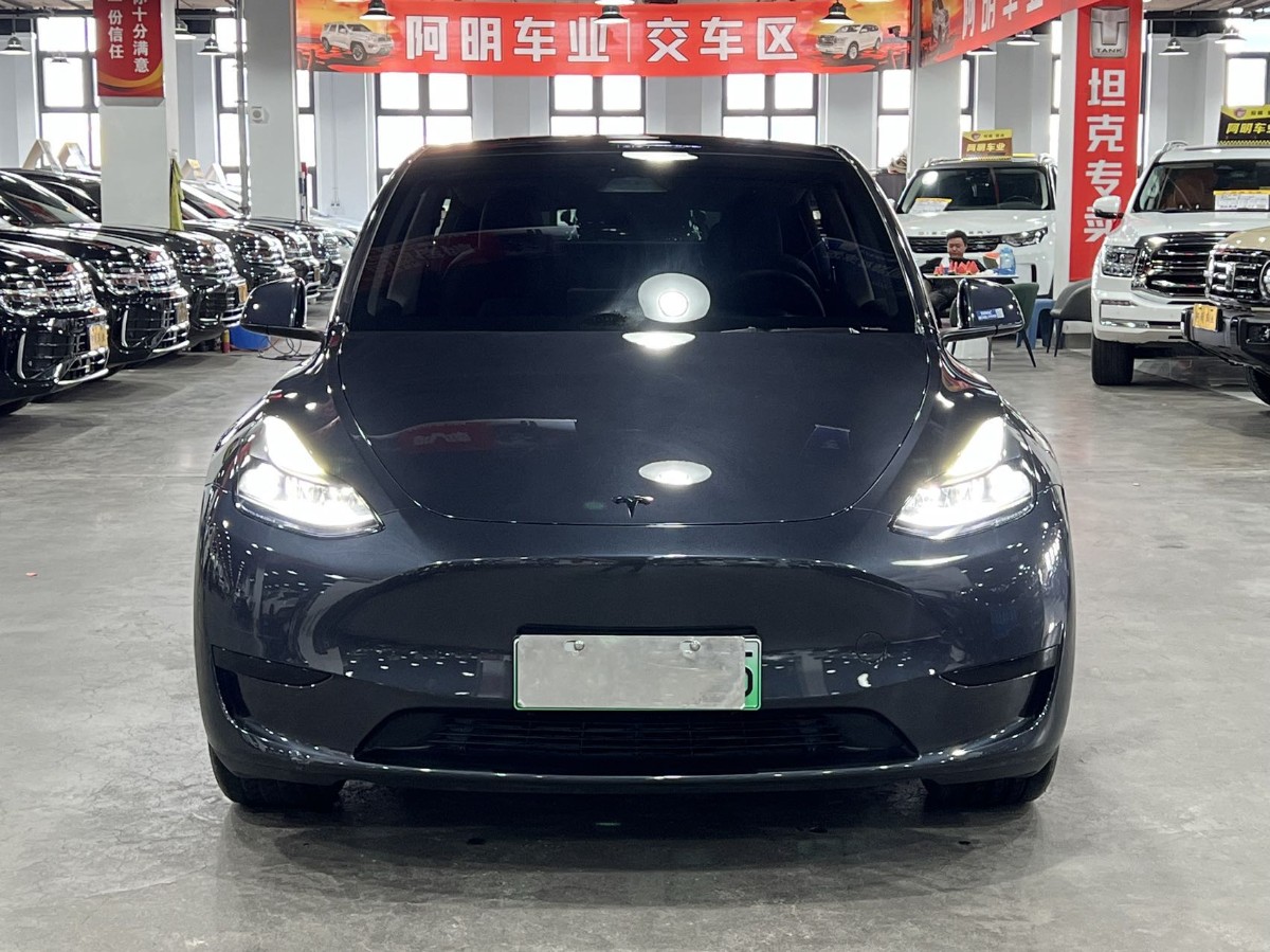 Tesla Model Y 2024 car image #2