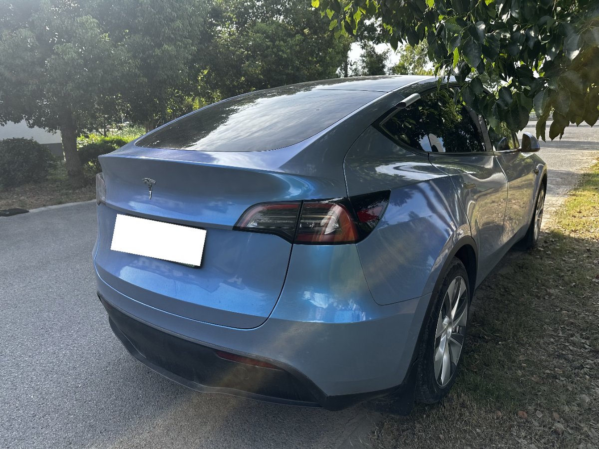 Tesla Model Y 2023 car image #2