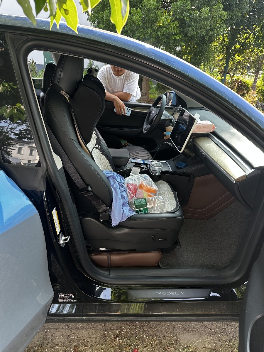 Tesla Model Y 2023 car image #7