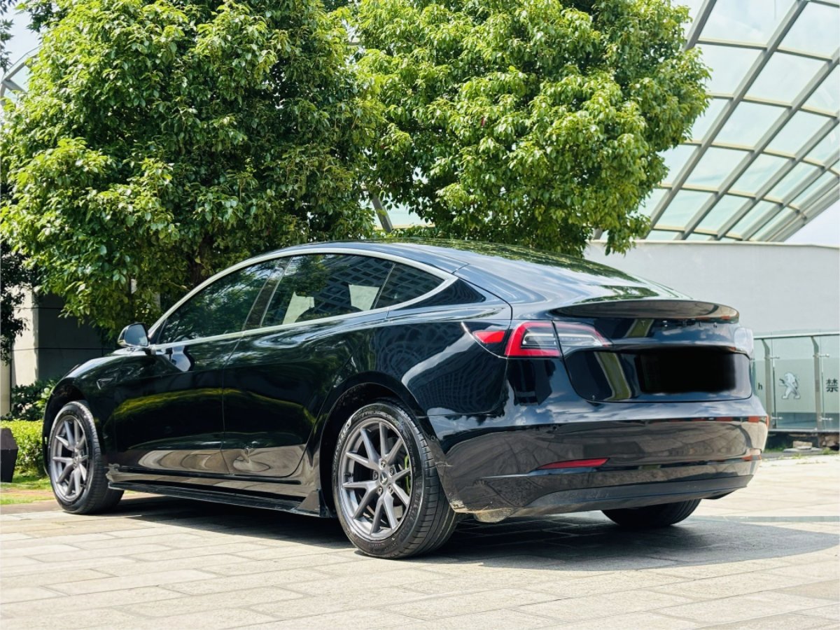Tesla Model 3 2020 #9 Tesla Model 3 2020 car image #9