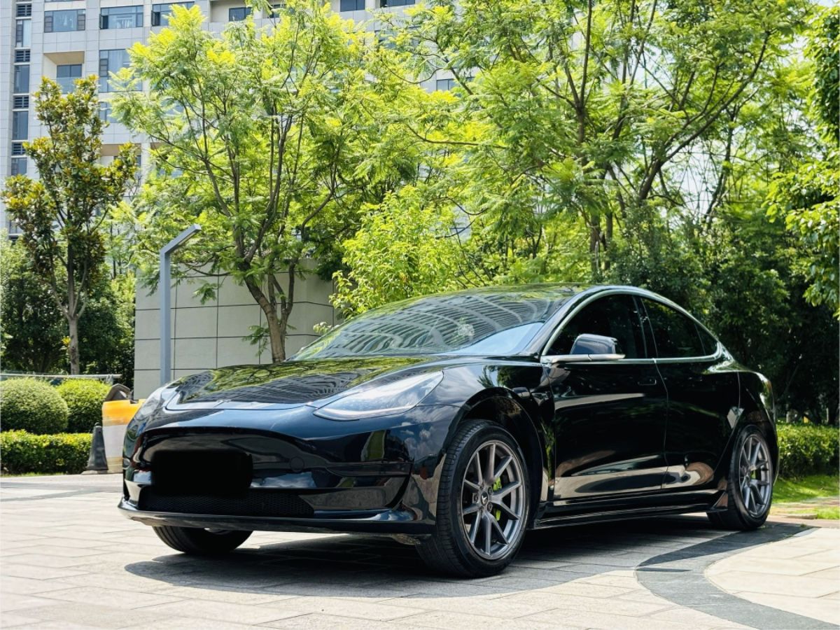 Tesla Model 3 2020 Tesla Model 3 2020 car image