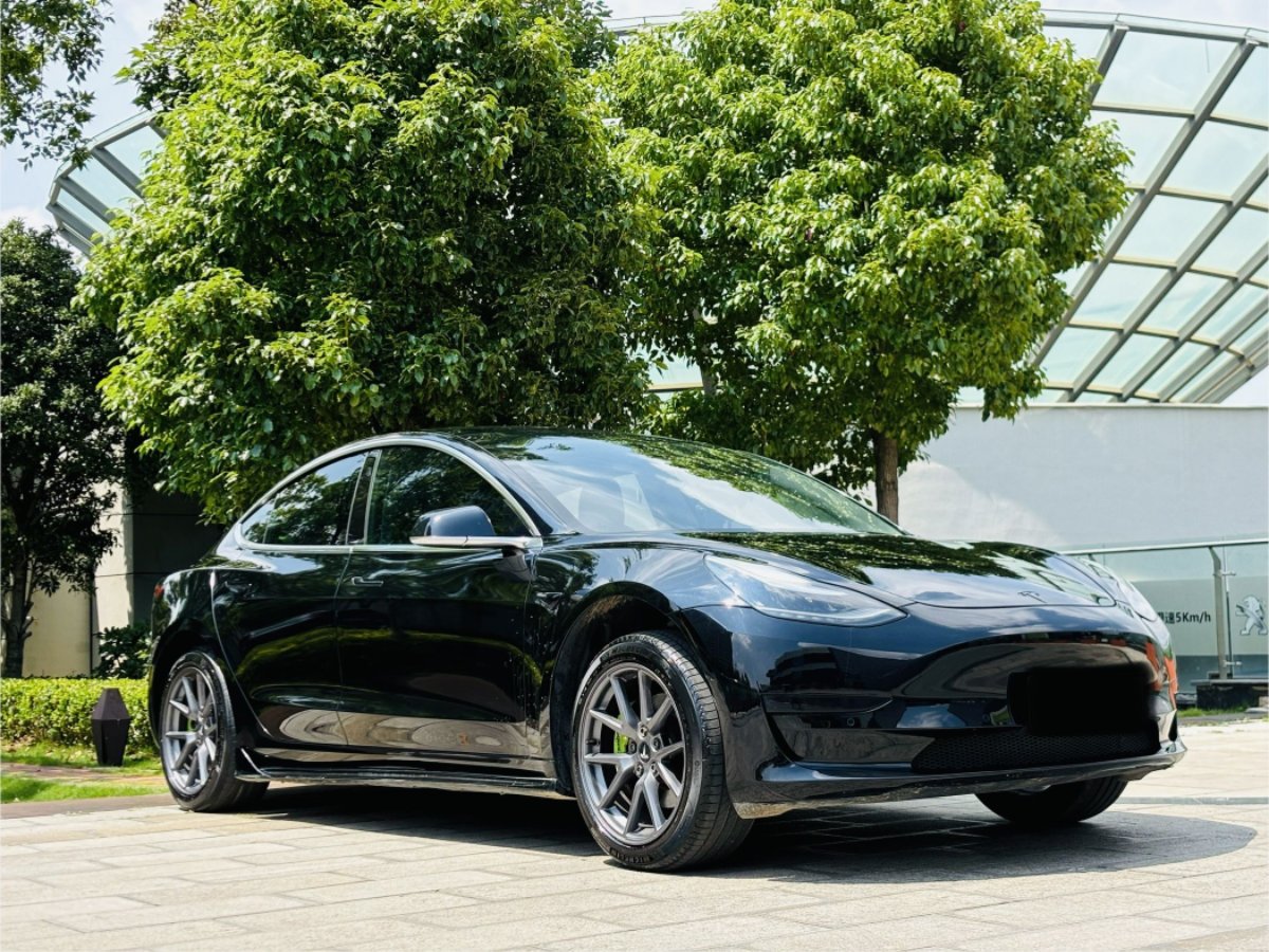Tesla Model 3 2020 #3 Tesla Model 3 2020 car image #3