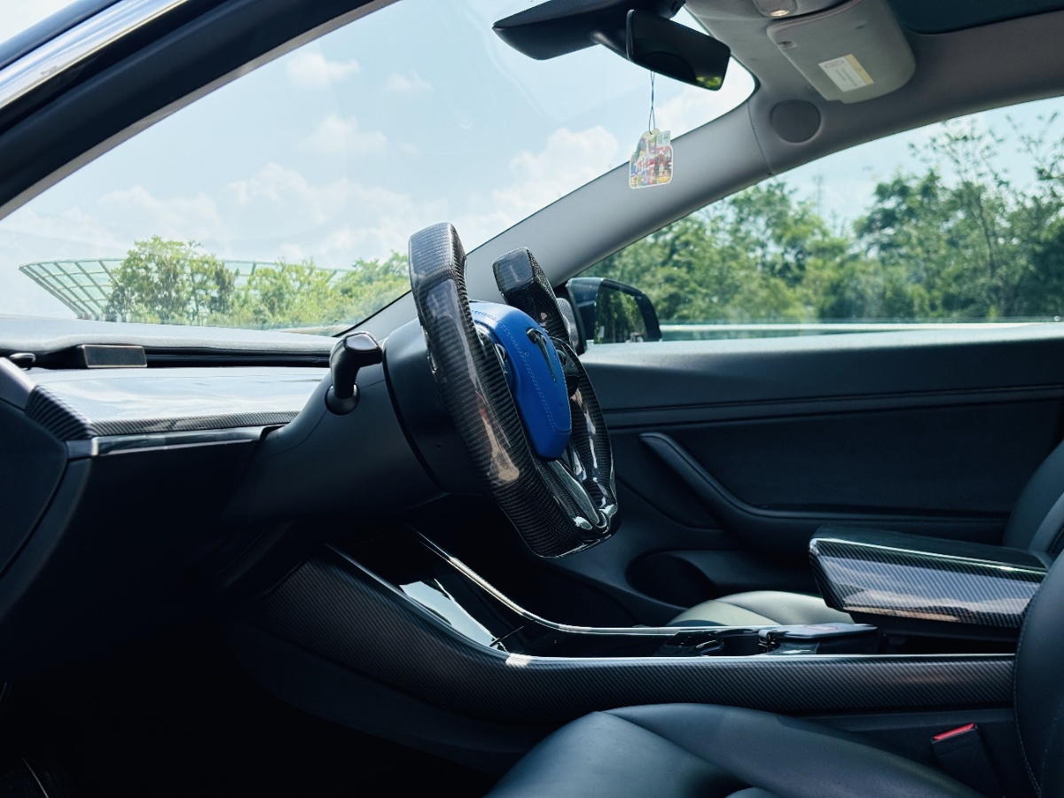 Tesla Model 3 2020 #5 Tesla Model 3 2020 car image #5