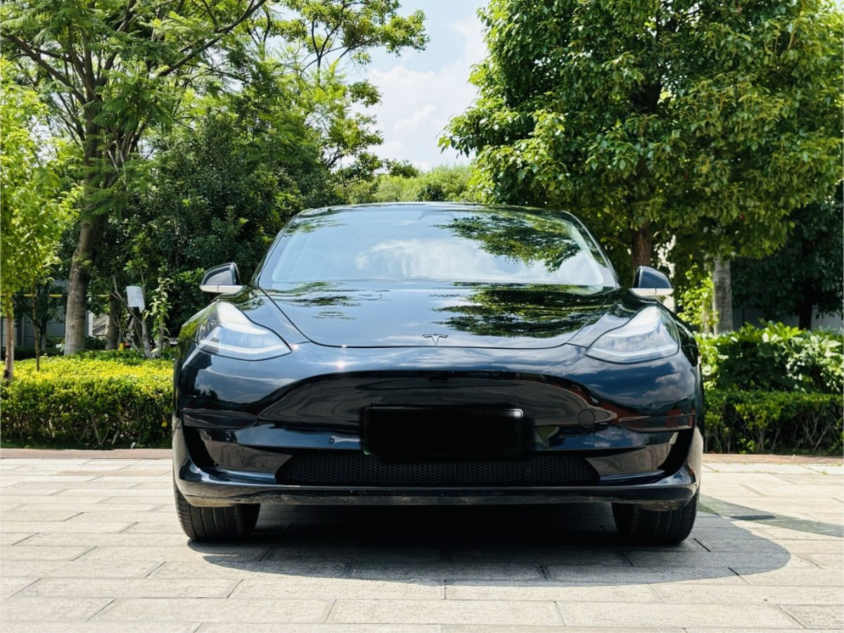 Tesla Model 3 2020 #2 Tesla Model 3 2020 car image #2